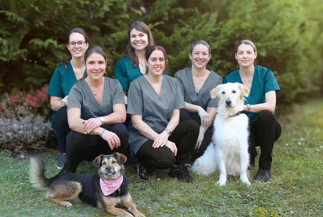 content-home-ueber-uns