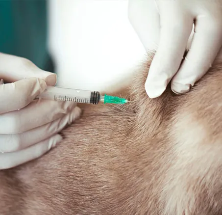 content-leistungen-1-vorsorge