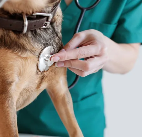 content-leistungen-2-innere-medizin