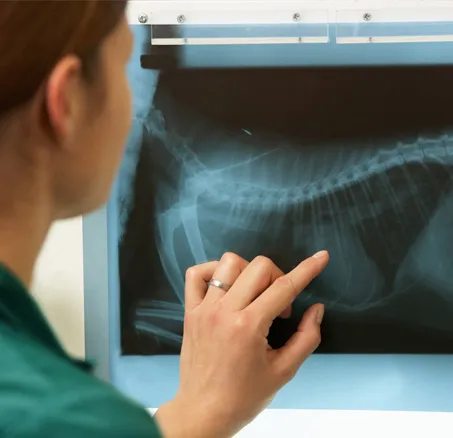 content-leistungen-5-diagnostik