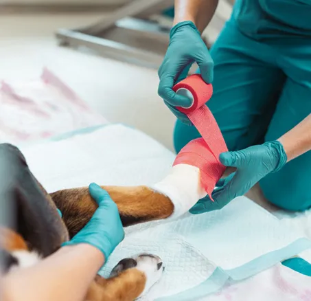 content-leistungen-6-notfall