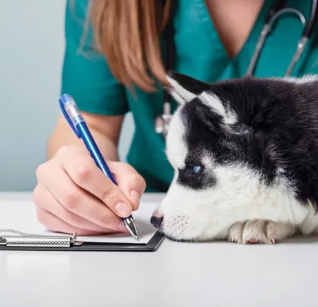 content-leistungen-7-zusatzleistungen