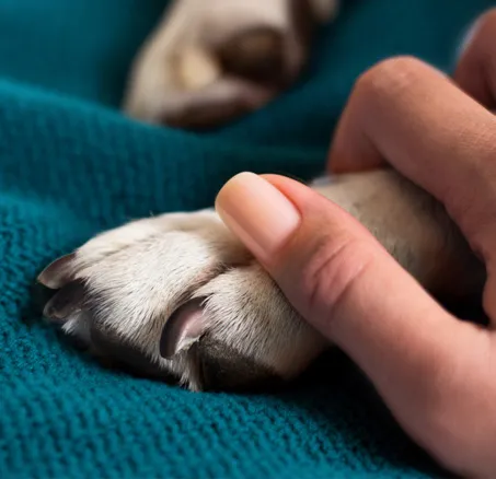 content-leistungen-8-abschied